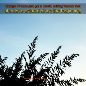 Read more about the article Google Photos just got a useful editing feature that shouldve existed since the beginning