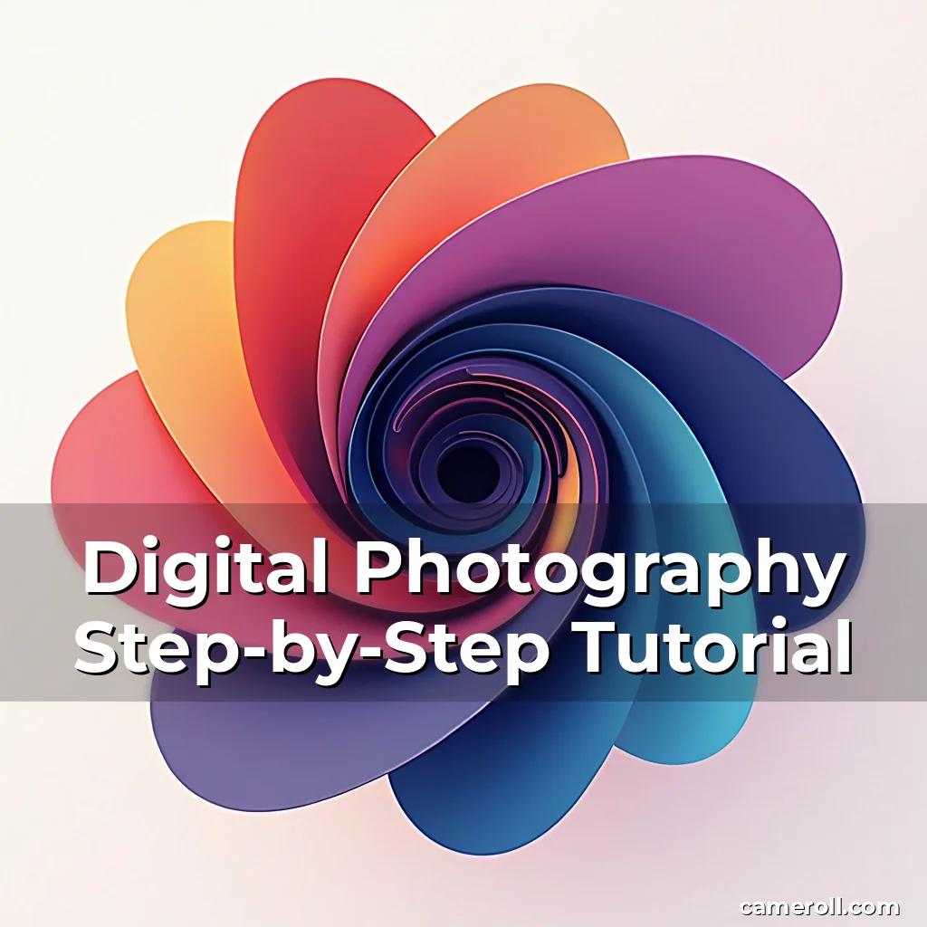 Artistic representation for Digital Photography Step-by-Step Tutorial